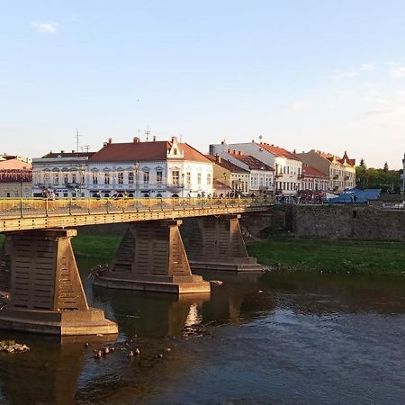 Затишна Двокімнатна Квартира В Самому Серці Ужгорода อุชโฮรอด ภายนอก รูปภาพ
