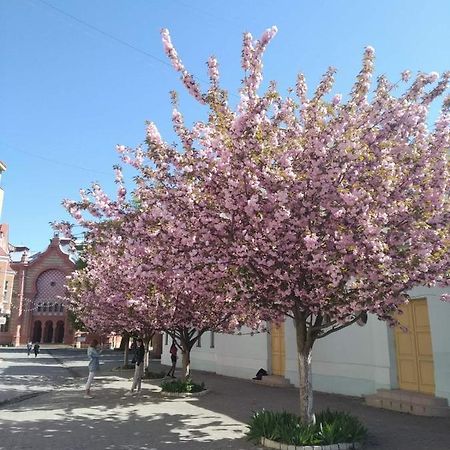 Затишна Двокімнатна Квартира В Самому Серці Ужгорода อุชโฮรอด ภายนอก รูปภาพ