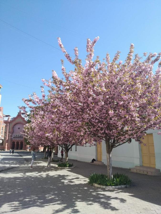 Затишна Двокімнатна Квартира В Самому Серці Ужгорода อุชโฮรอด ภายนอก รูปภาพ